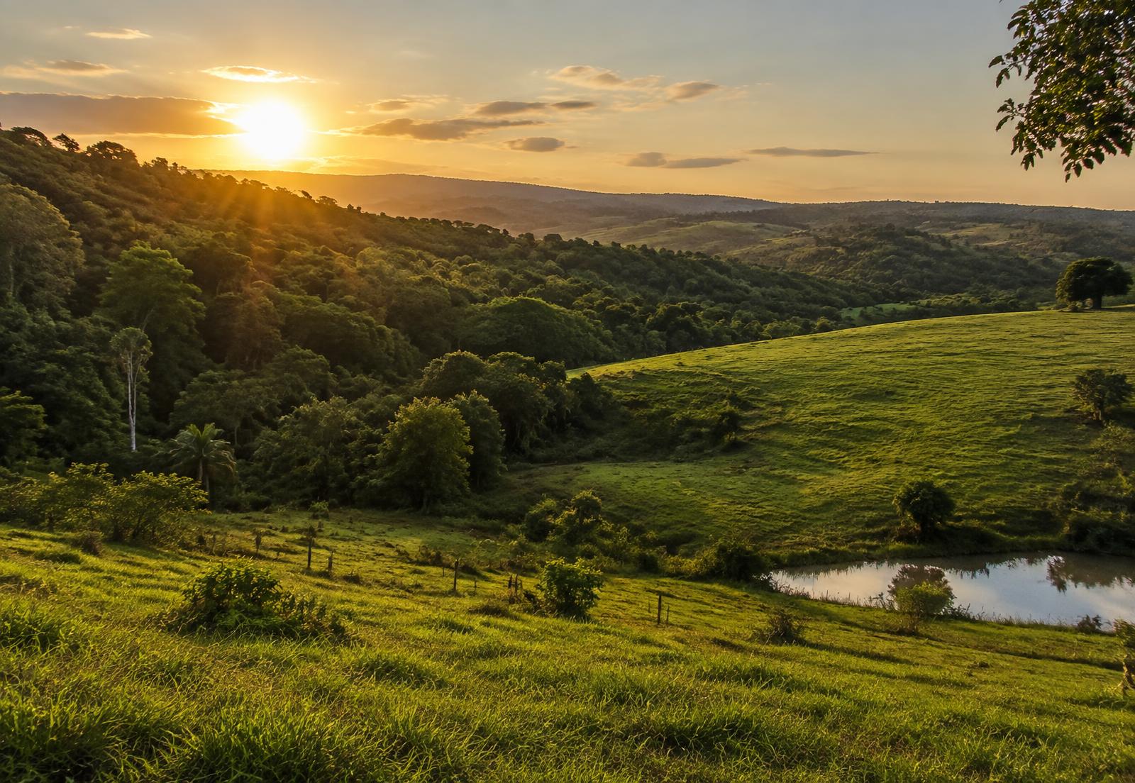 Propriedade rural brasileira com vegetação preservada